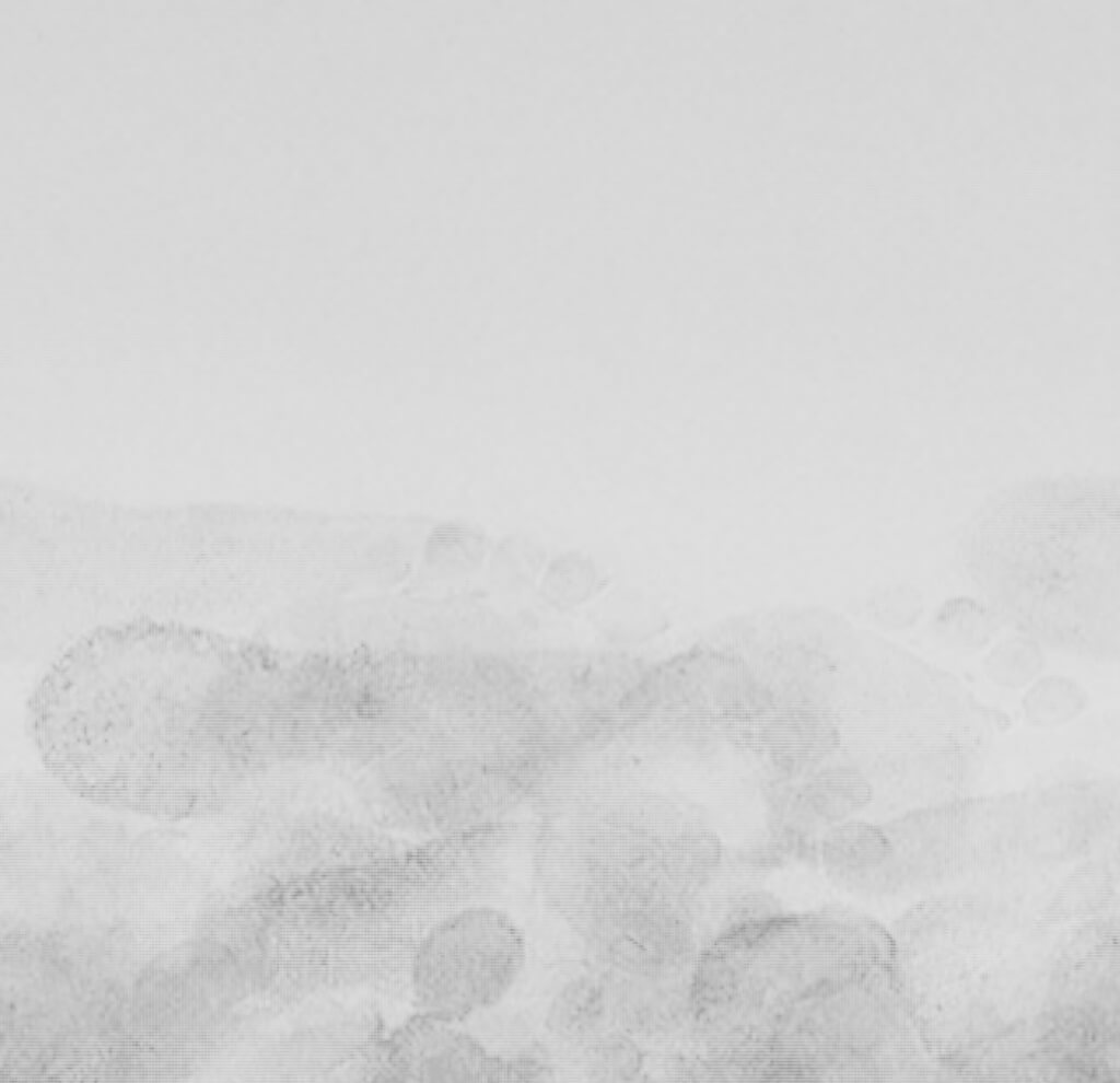 Interconnected_Aoife Nolan